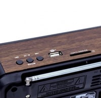 مكبر صوت و راديو GEEPAS ( بلوتوث + USB + AUX + ذاك...