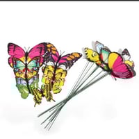 فراشات زينه