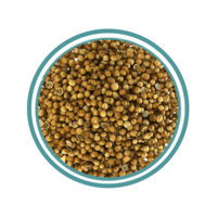 كزبرة حب 125جم