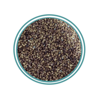 بذور البرسيم 250جرام