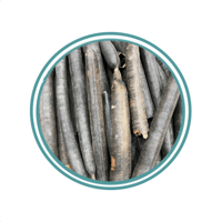 خيار الشمبر