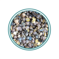 قشر قهوة فاخر 125جم