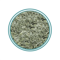 عشبة الجعدة