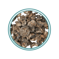 املج سابله 125جم