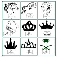 سديري جوتشي بيج