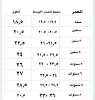 فستان بناتي مميز لليوم الوطني