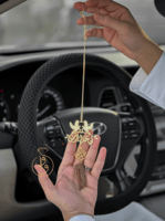 تعليقة سيارة برسمة حمام و حرف