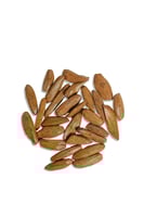 عرض الفخامة