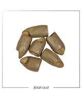 مروكي خط فتنامي محسن بيور