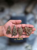 عود أزرق محسن