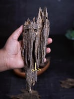 عود فيتنامي اقتصادي