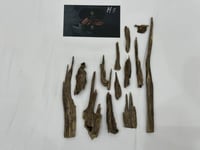 هندي آسام دبل سوبر 15 جرام ( H5 )