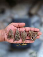 العود الأزرق | الاصلي المحسن بأفضل سعر