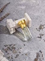 زهرة الياسمين