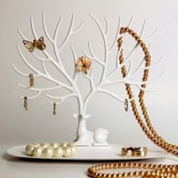 منظم اكسسوارات