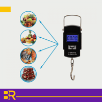 ميزان متنقل