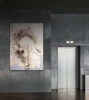 لوحة غيمة لوحة خيل عربي .