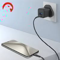 اي وان - فيش جداري بقوة 20 واط مخرجين (تايب سي - ي...