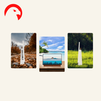 شاشة 24 بوصة سكاي وورث وضوح فائق، تلفزيون ذكى بتقن...