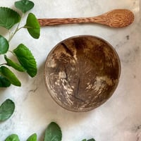 صحن جوز الهند & ملعقه