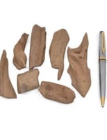 عود موروكي اصقون سوبر