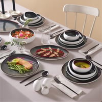 طقم صحون فاخر 55 قطعة Earth Collection Galactic