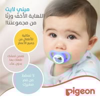 لهاية مواليد ميني لايت Pigeon من الشهر 12