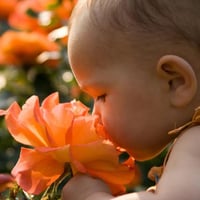 عطر للرضع GERMACARE