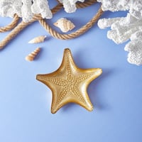 صحن زجاجي صغير فاخر Aqua Marine Star ذهبي