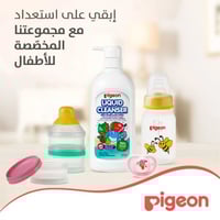 لهاية مواليد ميني لايت Pigeon من الشهر الأول