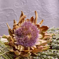 طقم مفارش مزدوج كوين Garden