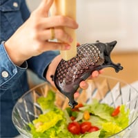 مبشرة جبن Koziol