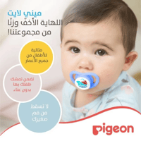 لهاية مواليد ميني لايت Pigeon من الشهر 12