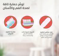 فرشاة أسنان الدرس الثالث للرضع Pigeon