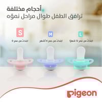 لهاية مواليد ميني لايت Pigeon من الشهر الأول