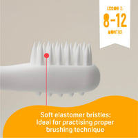 فرشاة أسنان الدرس الثاني للرضع Pigeon