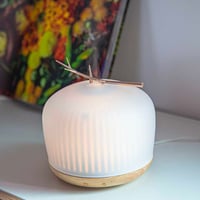 فواحة إلكترونية مائية Sprig