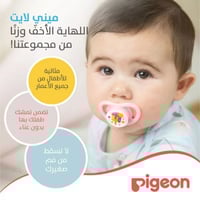 لهاية مواليد ميني لايت Pigeon من الشهر السادس