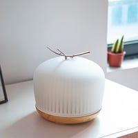 فواحة إلكترونية مائية Sprig