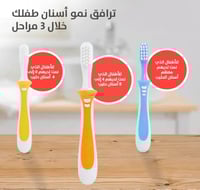 فرشاة أسنان الدرس الثالث للرضع Pigeon