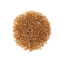 بر صماء القصيم (عضوي )