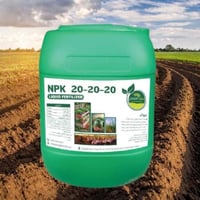 اكتف 20: NPK20-20-20