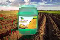 بور زنك: بورون و زنك وعناصر صغري