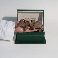 زوايا فيتنامي الضيافة