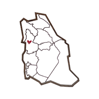 منطقة المدينة المنورة