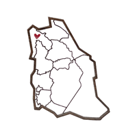 منطقة تبوك