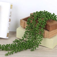 نباتات اصطناعية لحمي الكرمة