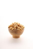 صنوبر بكستاني