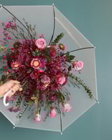 مظلّة الشتاء المُزهِر