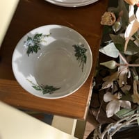 بادية فنتج | حجم صغير